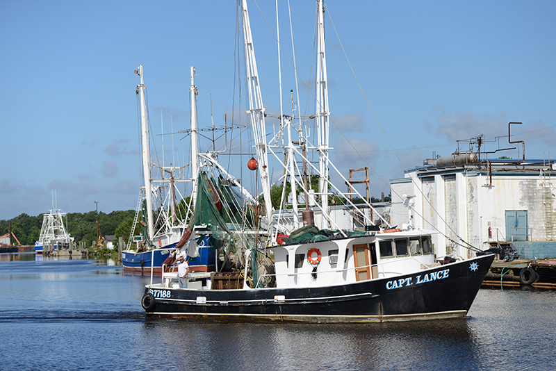 Dominick’s Seafood, Inc. American Shrimp Processors' Association